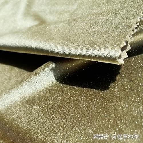 2025加厚金絲絨與印花金絲絨推薦——常熟市龍玉針紡織品直供廠家